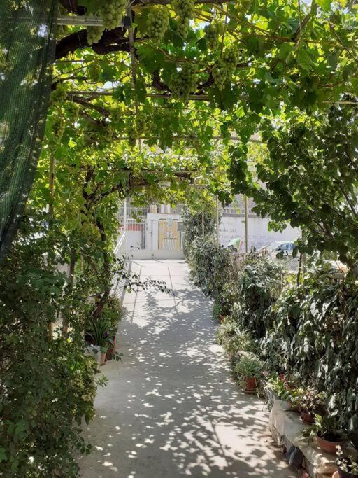 Cozy & Quiet Studio With A Garden *
