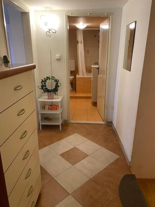 Cozy & Quiet Studio With A Garden Apartman Split
